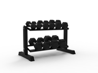 2 Tier Dumbbell Rack (1m Wide)