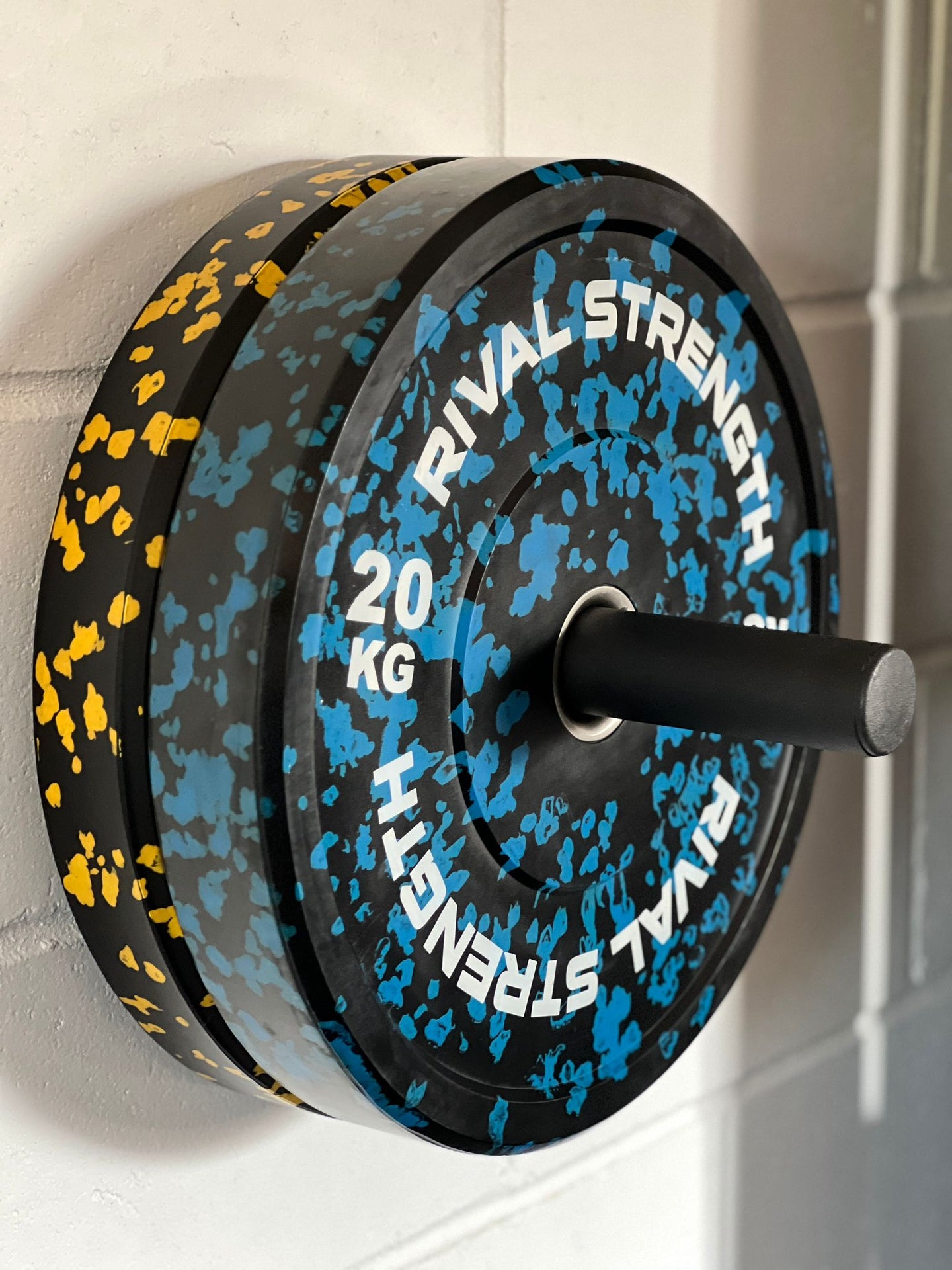 Rival Wall-Mounted Weight Plate Storage Poles