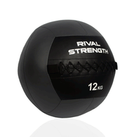 Rival Medicine Wall Balls