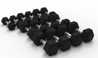 Rival Hex Dumbbell Sets With Optional Storage Rack