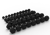 Rival Hex Dumbbell Sets With Optional Storage Rack