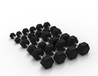 Rival Hex Dumbbell Sets With Optional Storage Rack